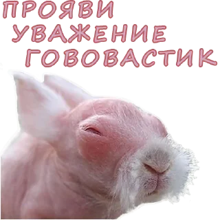 🐁 emoji Lena Golovach Telegram sticker 20 of 31