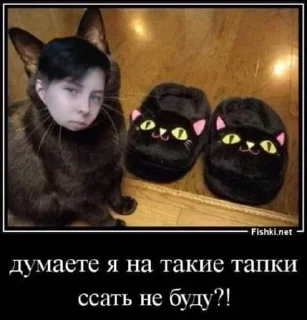 🕴 emoji Мемы с котами Telegram sticker 22 of 40