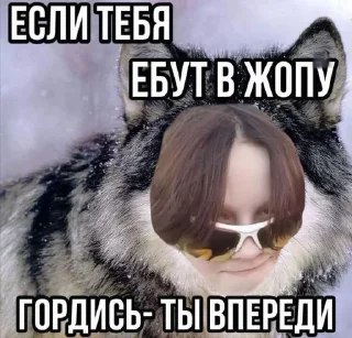 🤓 emoji Мемы с котами Telegram sticker 9 of 40