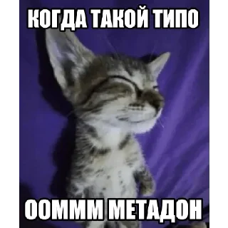 😌 emoji Больше стикеров 👉🏻 @stickertg4 Telegram sticker 1 of 26