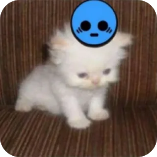 😶 emoji Мэн Telegram sticker 11 of 34
