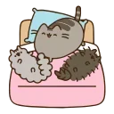 😸 emoji Animated Pusheen @IMG2D Telegram sticker 10 of 40