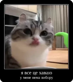 😋 emoji Сольовик і неформали @solovyy Telegram sticker 24 of 50