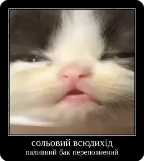Sticker from Сольовий всюдихід @solovyy