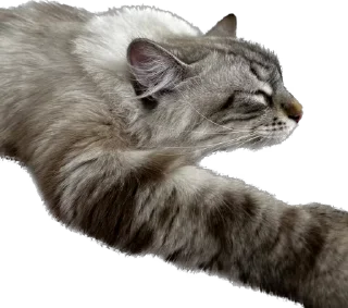 😴 emoji Стеша Telegram sticker 7 of 26