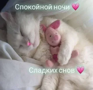 🌟 emoji Больше стикеров 👉🏻 @stickertg4 Telegram sticker 12 of 42