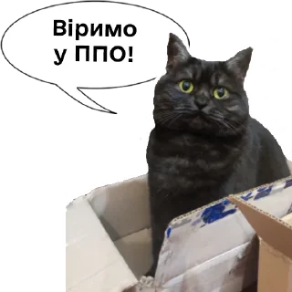 😇 emoji Колбаска Telegram sticker 8 of 44