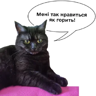 😁 emoji Колбаска Telegram sticker 18 of 44