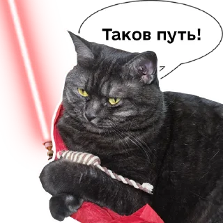 🏃‍♀️ emoji Колбаска Telegram sticker 23 of 44