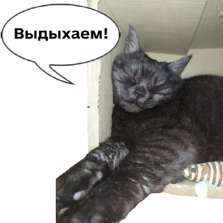 😴 emoji Колбаска Telegram sticker 2 of 44