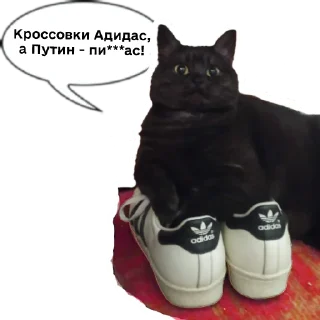 😌 emoji Колбаска Telegram sticker 24 of 44