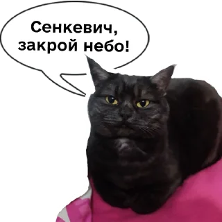😎 emoji Колбаска Telegram sticker 6 of 44