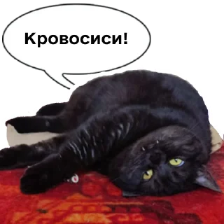 🧛‍♀️ emoji Колбаска Telegram sticker 14 of 44