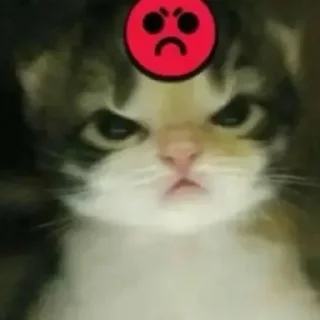 🍡 emoji Miau 😓 Telegram sticker 9 of 60