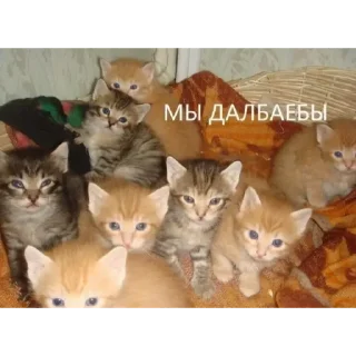 ✨ emoji мама я люблю Telegram sticker 5 of 120