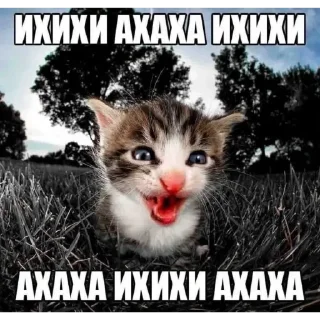 🤣 emoji мама я люблю Telegram sticker 3 of 120