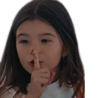 🤫 emoji ПВМД Telegram sticker 23 of 35