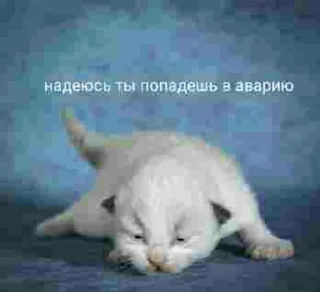 🥰 emoji Сдохни пожалуйста Telegram sticker 21 of 120