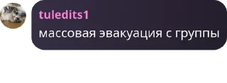 Sticker from Что творят эти бро💀