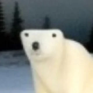 🪳 emoji медвед от Еленачки Telegram sticker 11 of 17