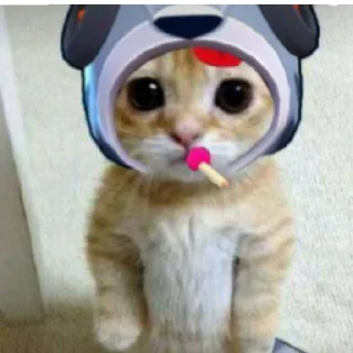 😄 emoji Модераторы и Админы в группе Zxc mid Создатель Тема Артем Telegram sticker 4 of 10
