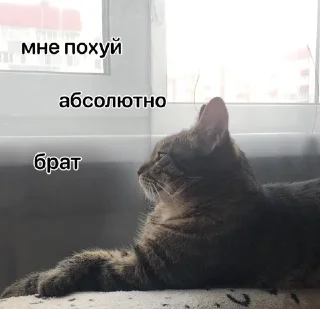 Sticker from 👺черкаш👺