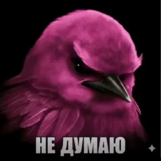 🦜 emoji птички delux edition Telegram sticker 19 of 66