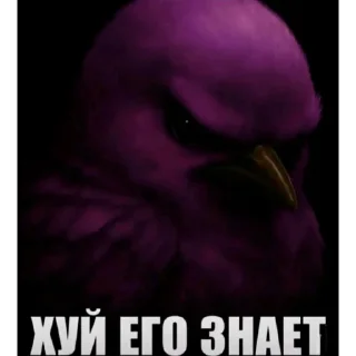 🦜 emoji птички delux edition Telegram sticker 15 of 66