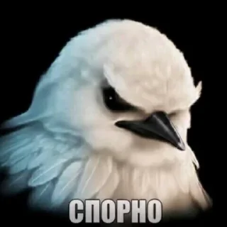 🦜 emoji птички delux edition Telegram sticker 12 of 66