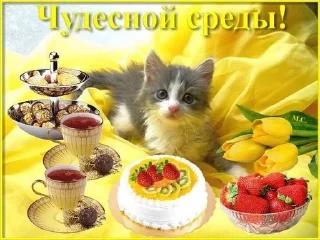 💐 emoji Дни партийной недели Telegram sticker 20 of 41