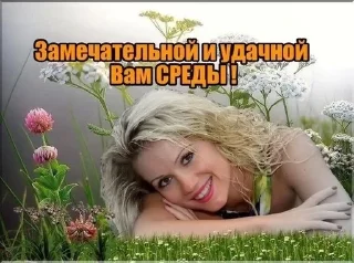 🪷 emoji Дни партийной недели Telegram sticker 11 of 41