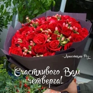 💐 emoji Дни партийной недели Telegram sticker 24 of 41