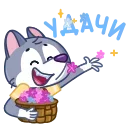 💐 emoji Волчонок Тео @TgSticker Telegram sticker 15 of 48