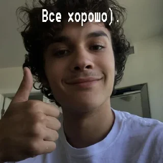 👍 emoji Тео-жизнь Telegram sticker 5 of 81