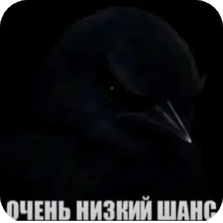 Sticker from Чёрные птички
