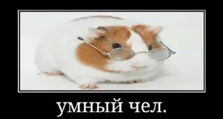 🤓 emoji пон Telegram sticker 10 of 11