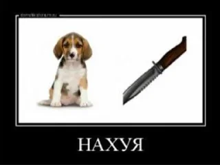 Sticker from пон