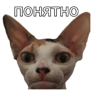 Sticker from Ладно