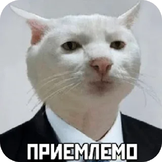 👍 emoji Ладно Telegram sticker 24 of 33