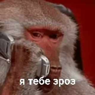 😶 emoji зроз Telegram sticker 10 of 50