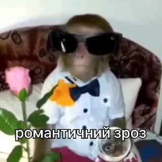 🌹 emoji зроз 3 @zroz_monkey Telegram sticker 16 of 31
