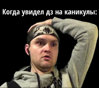 Мемы Беларусі / От Ксенозейна. sticker 1