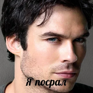 💩 emoji Я посрал Telegram sticker 6 of 66