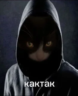 Sticker from коты