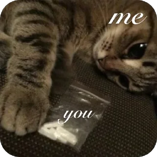 🥺 emoji ВовасафБест Telegram sticker 22 of 30