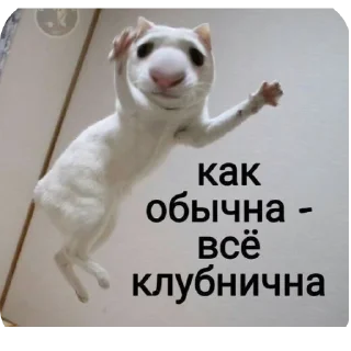Sticker from Мама Люба Давай