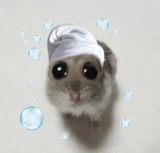 🌟 emoji pions & eli hamster Telegram sticker 7 of 14
