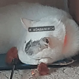 😔 emoji а где закладка?🤯 Telegram sticker 5 of 26