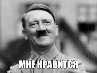 👍 emoji Нацизм-фашизм: Адик Telegram sticker 17 of 61