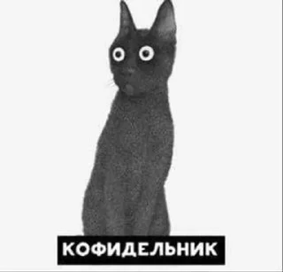 Sticker from КОФИ